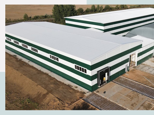 Строительство овощехранилищ в Димитровграде