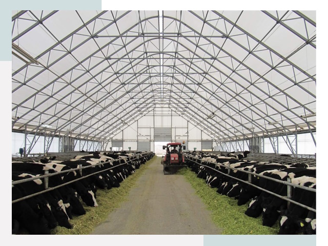 Тентовые коровники в Димитровграде от 618 руб. - Надежно и доступно